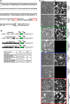 FIG 9