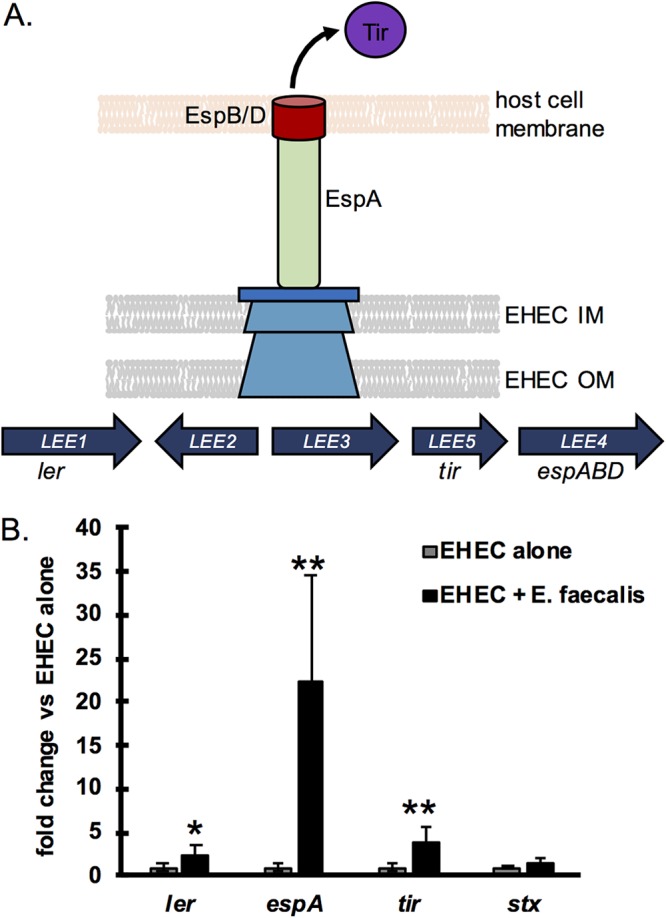 FIG 1