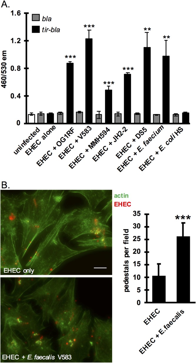 FIG 2