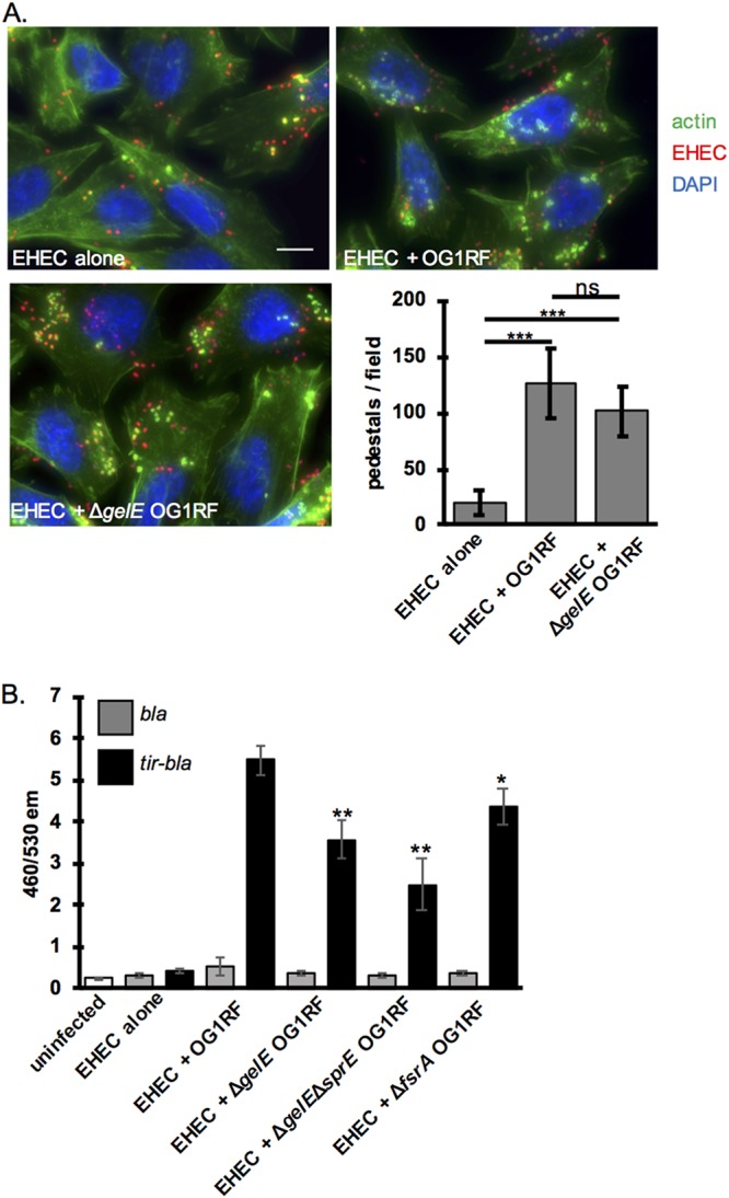 FIG 4