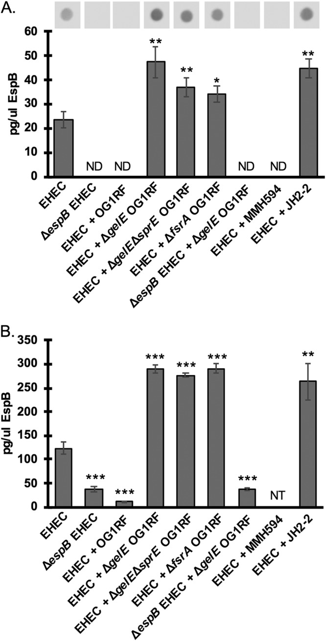 FIG 3