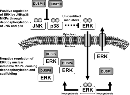 FIGURE 10.