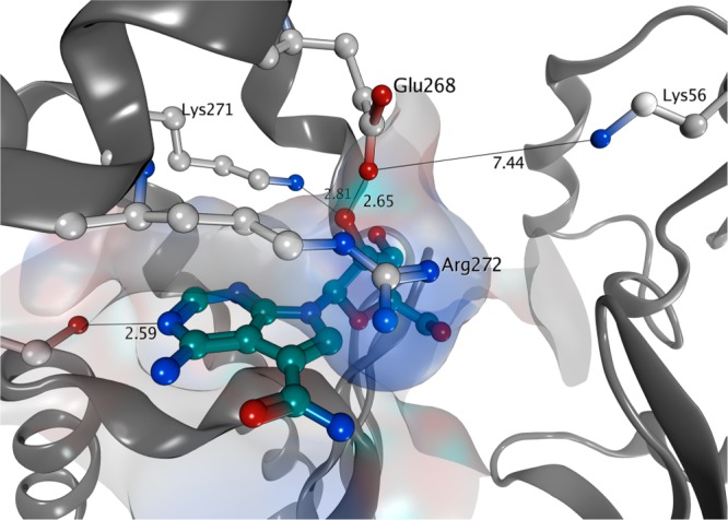 Figure 4