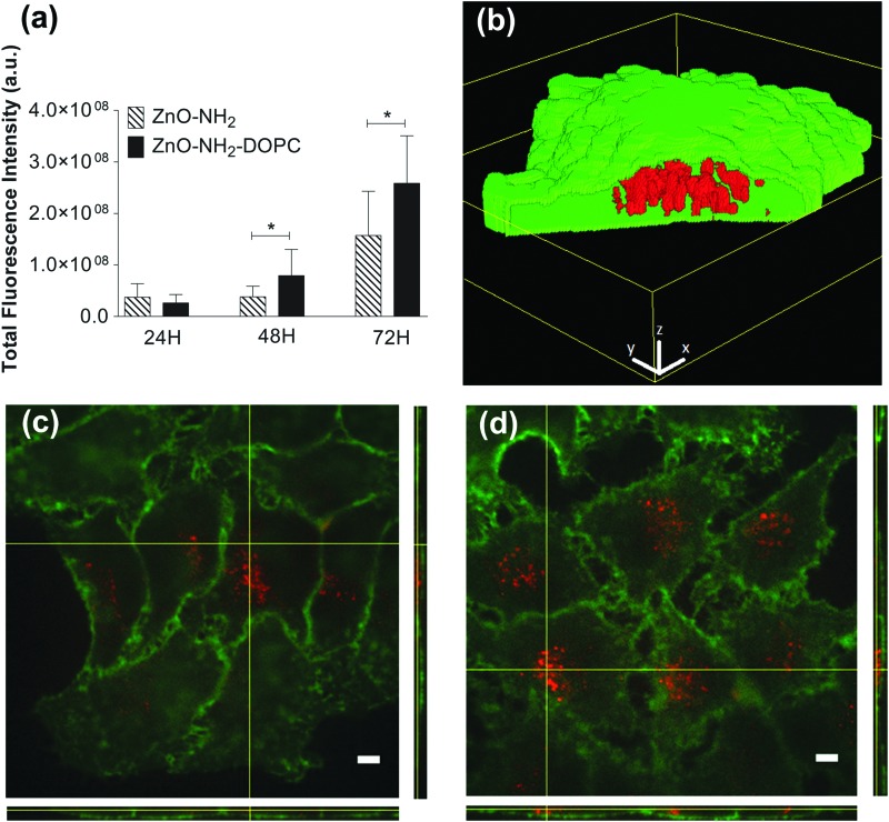 Fig. 12