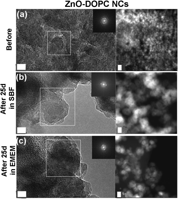 Fig. 10