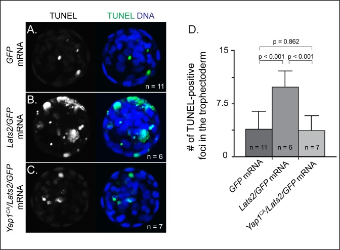 Figure 2—figure supplement 1.