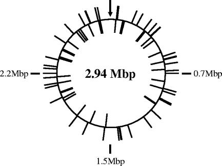 FIG. 2.