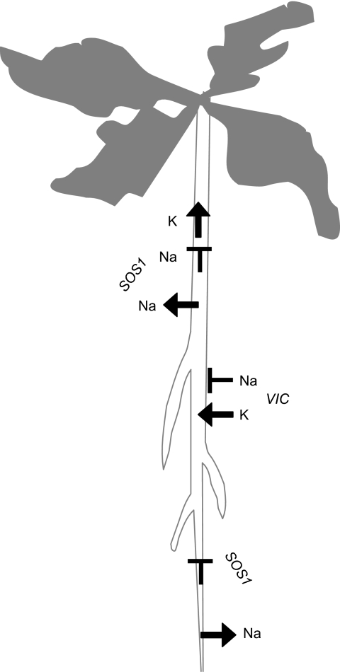 Figure 4.