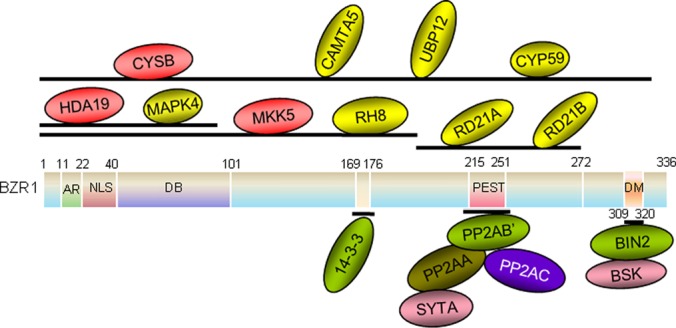 Fig. 6.