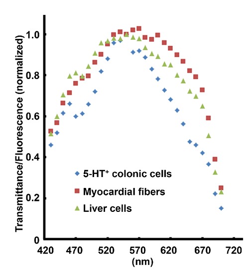 Figure 9.