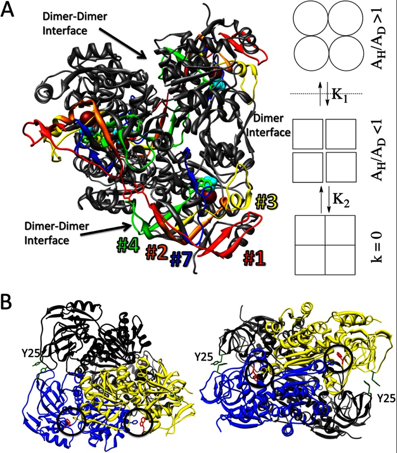 FIGURE 7.