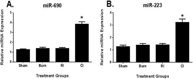 Fig 5