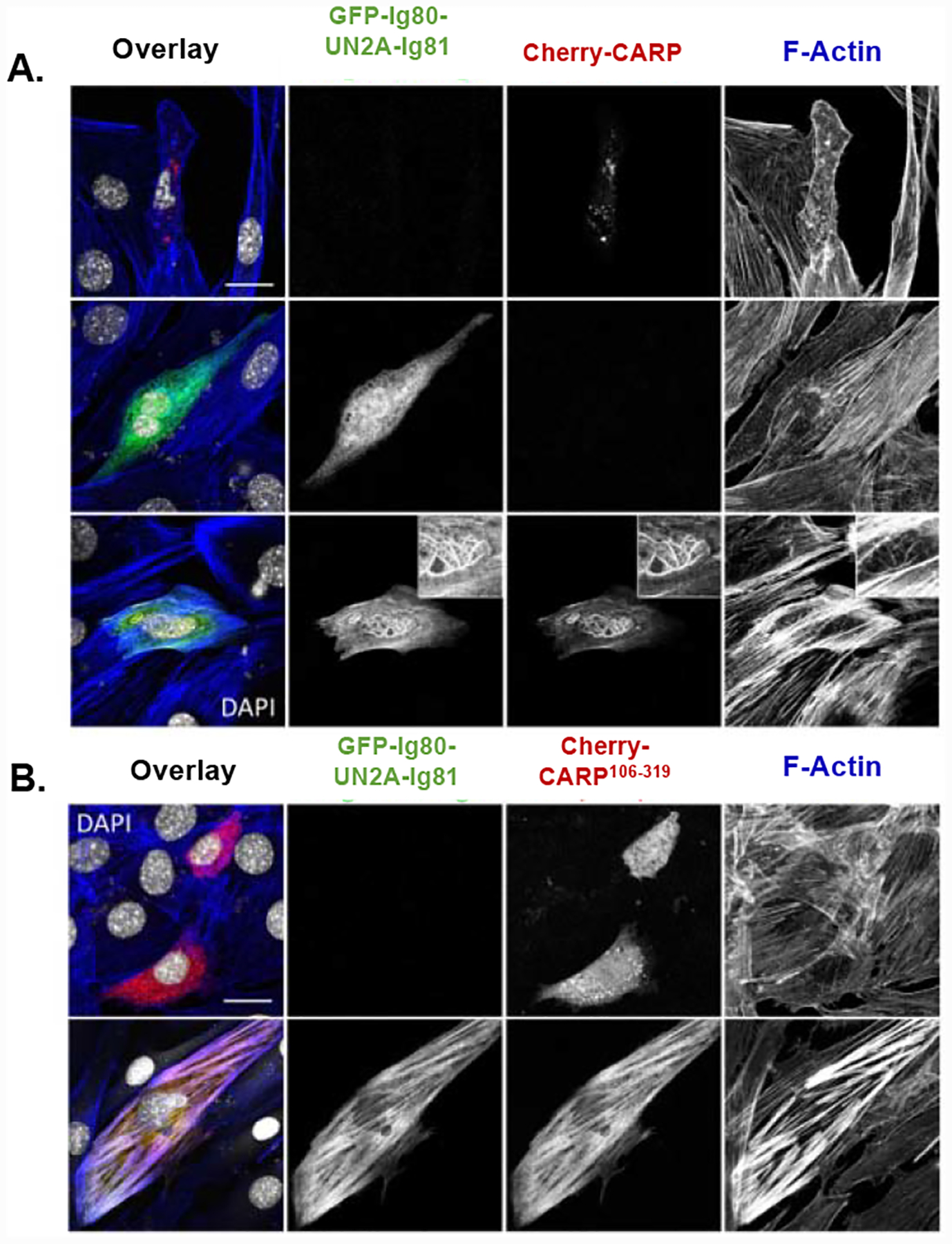 Figure 6: