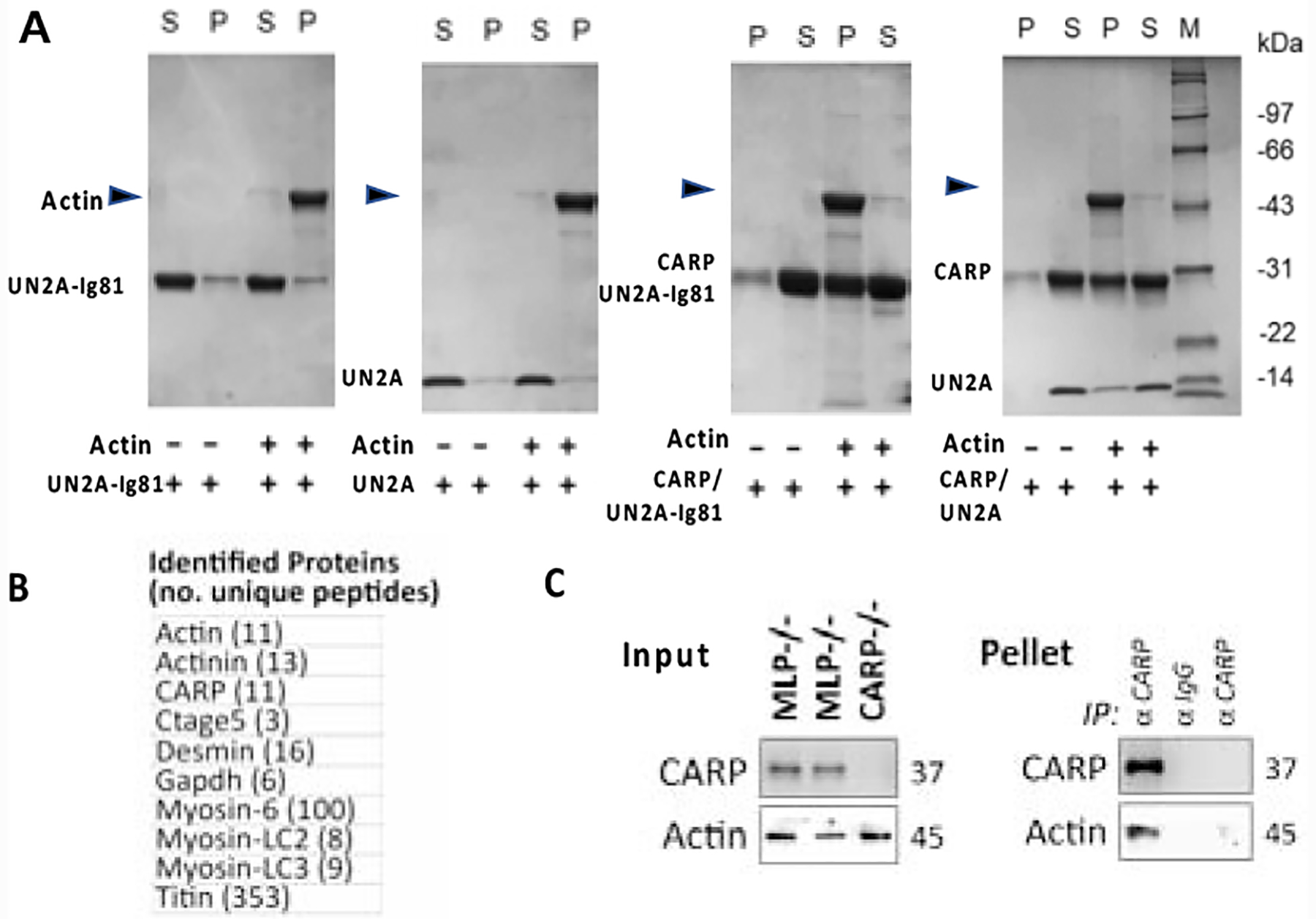 Figure 5: