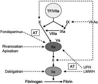 Fig. 1