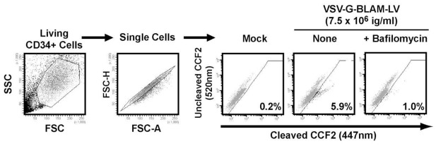 Fig. 4