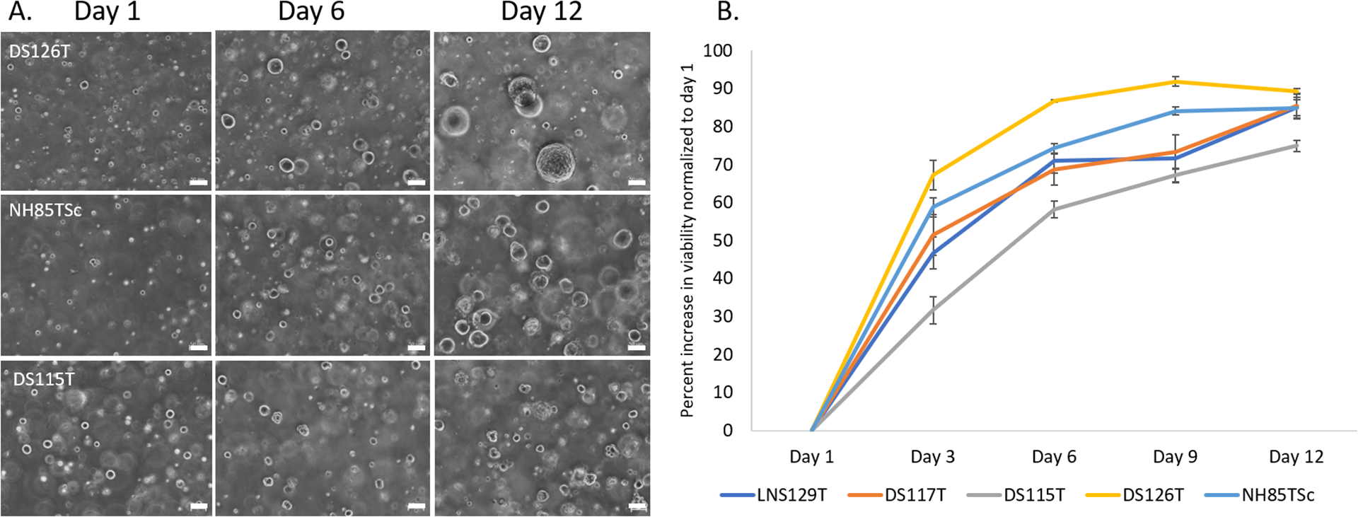 Figure 3: