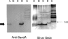 FIG. 5.