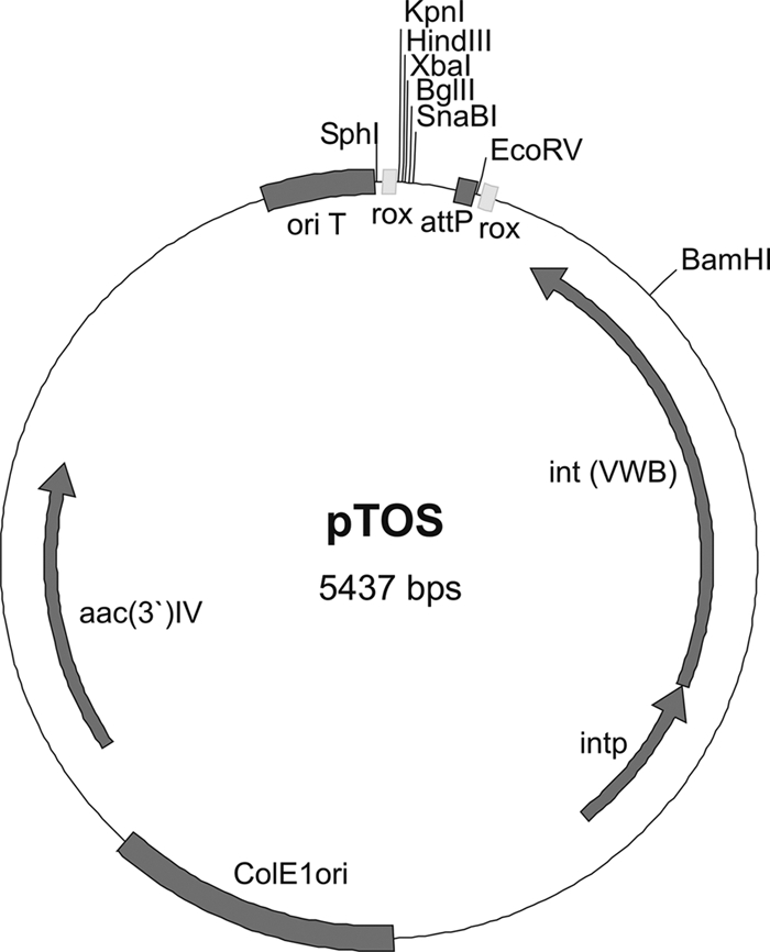 Fig 1