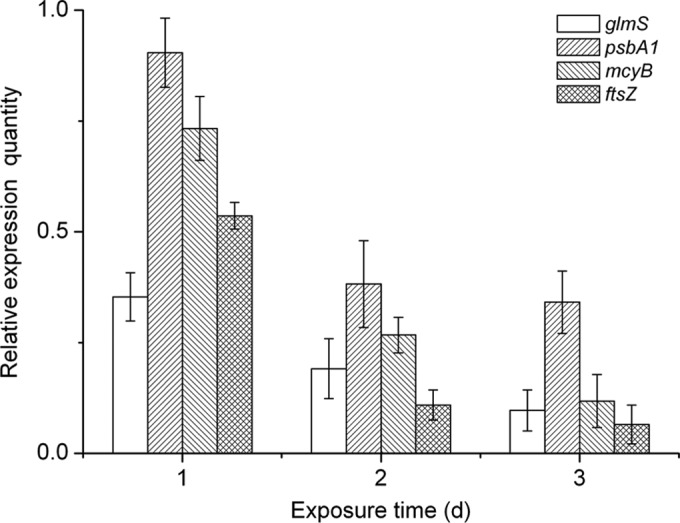 FIG 5