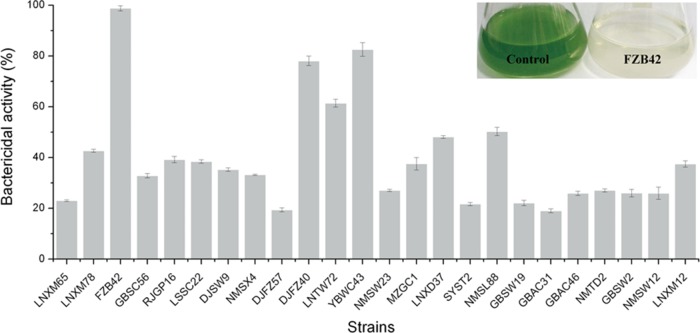 FIG 2