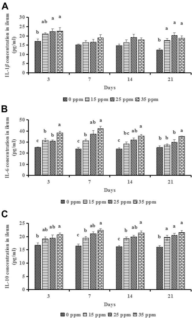 Figure 3