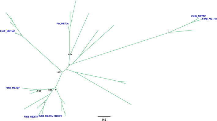 FIGURE 4