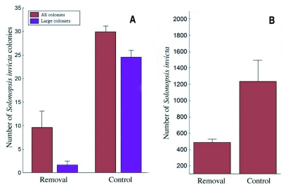 Figure 11. 