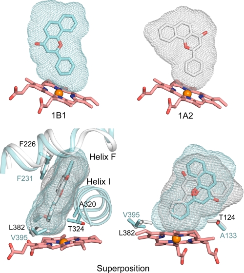 FIGURE 4.