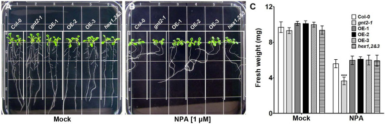 Figure 7