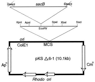 FIG. 5