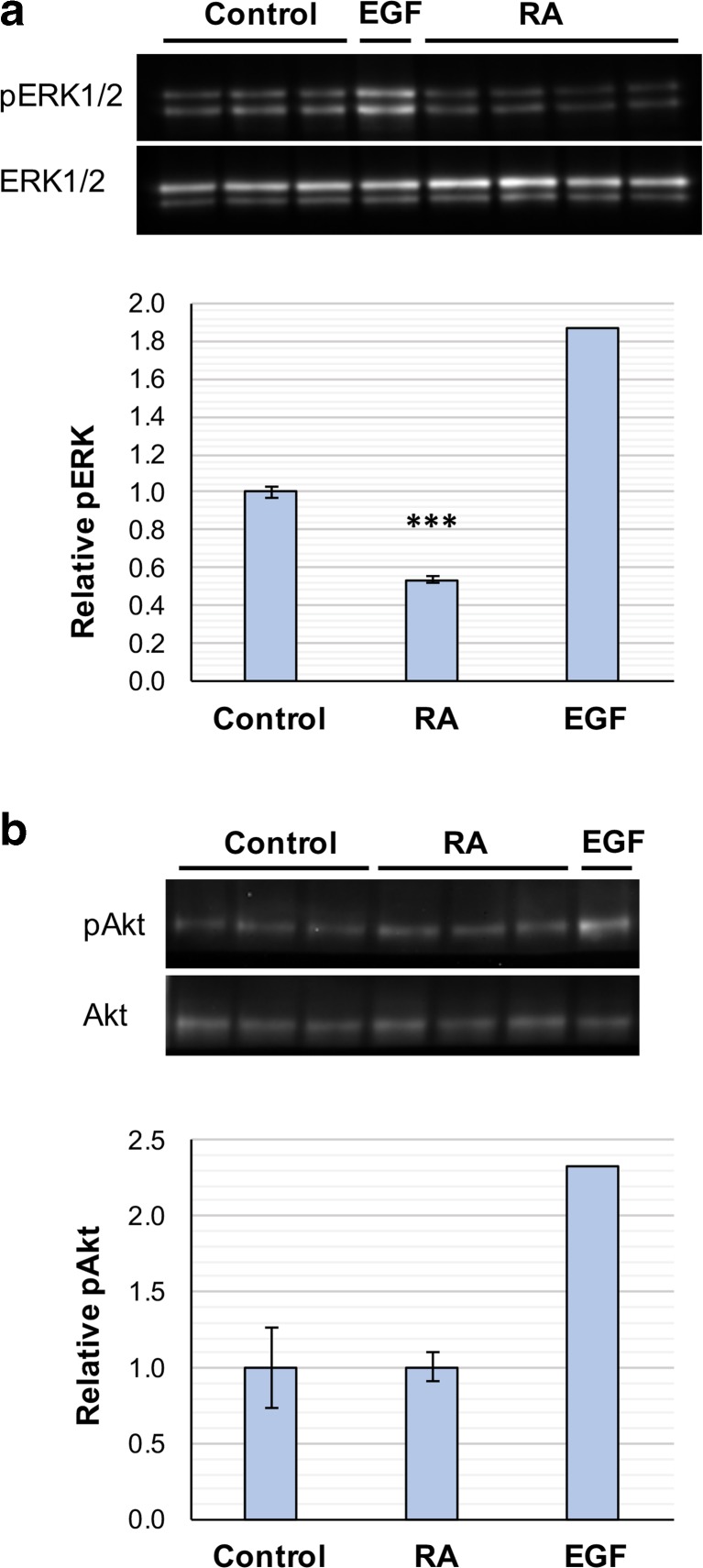 Fig. 11