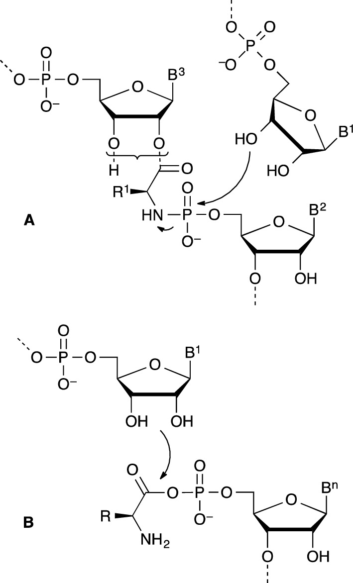 Scheme 4