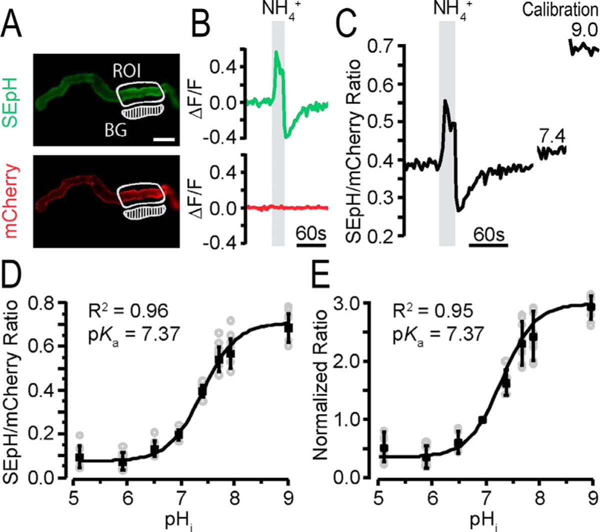 Figure 3.