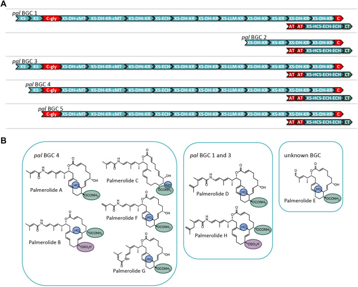 FIGURE 4