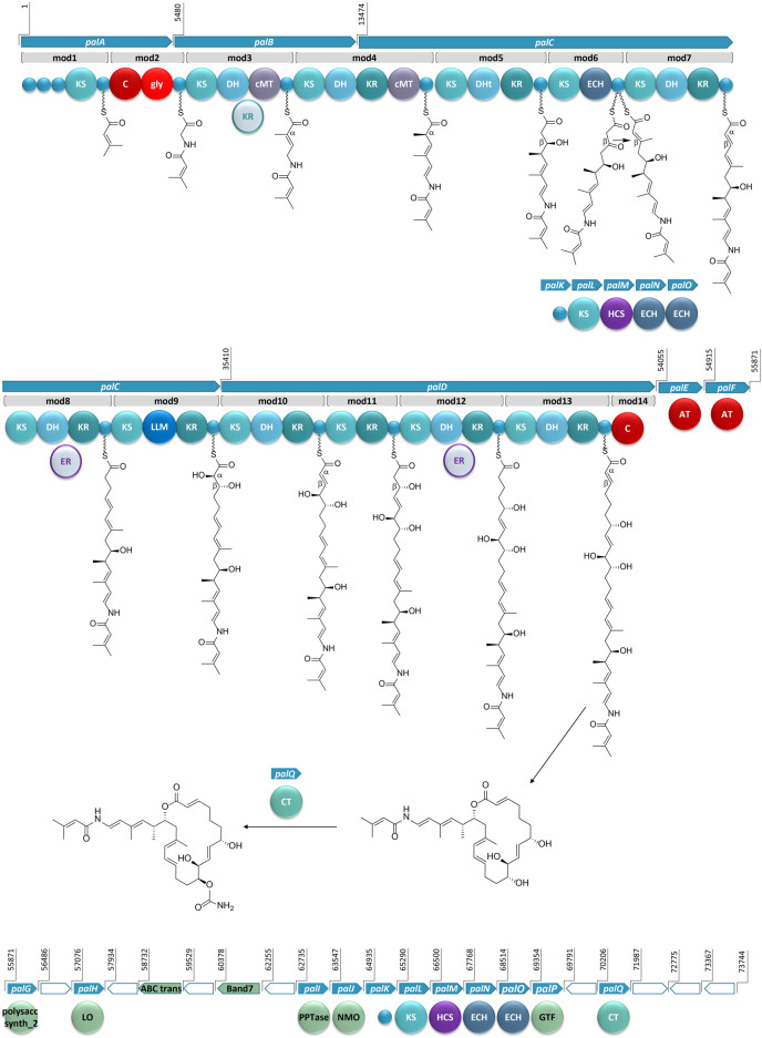 FIGURE 3