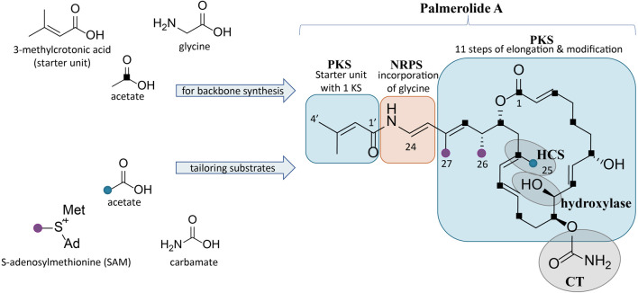 FIGURE 1