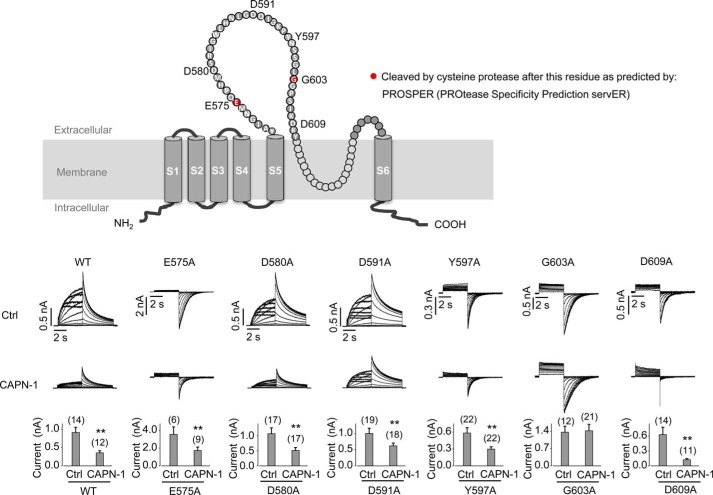 FIGURE 11.