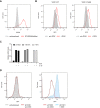 Figure 4—figure supplement 1.