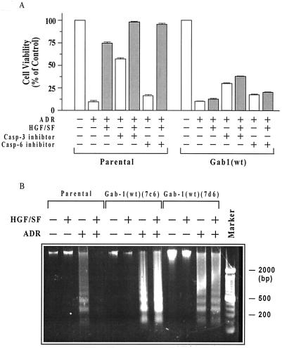 FIG. 8