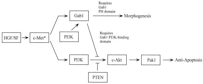 FIG. 9