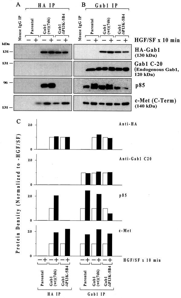 FIG. 7