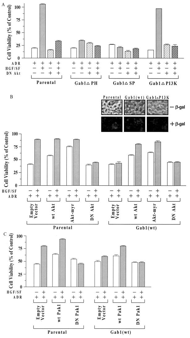 FIG. 6