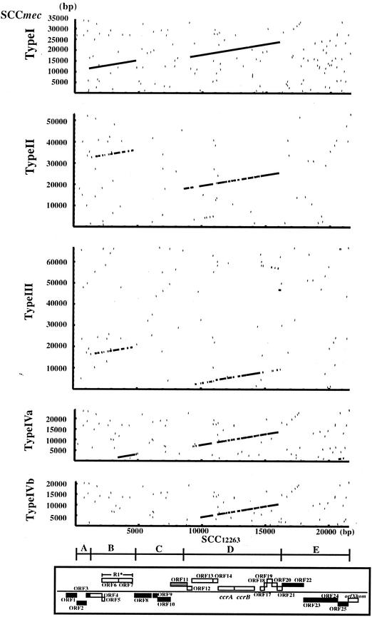 FIG.3.