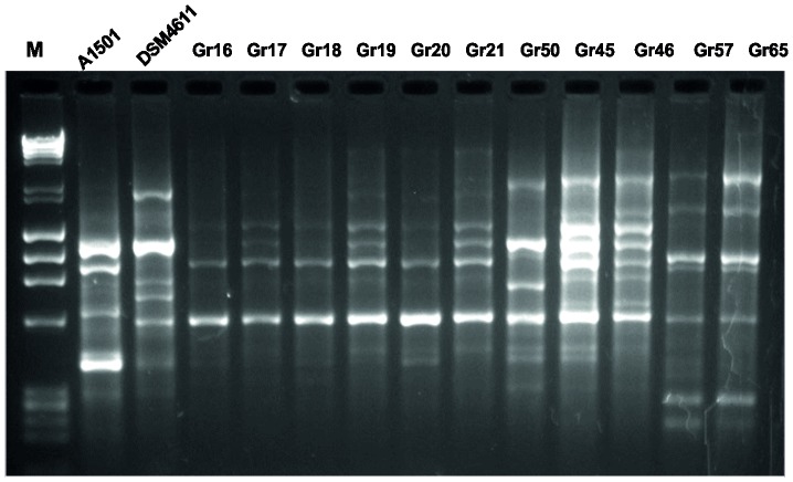 Figure 4