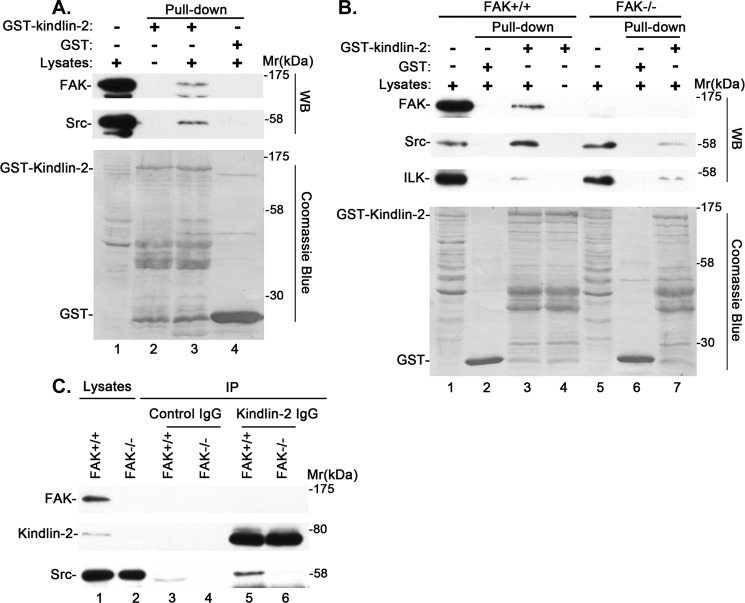 FIGURE 2.