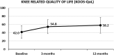 Fig. 1b