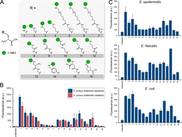 FIGURE 2.