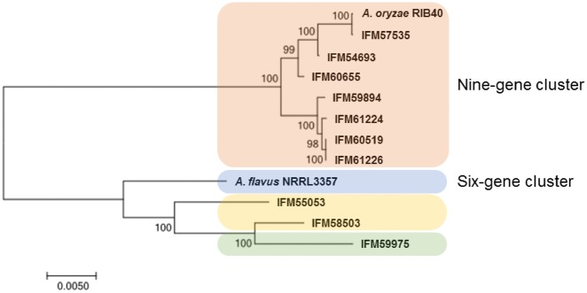 Figure 6