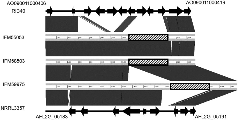 Figure 7